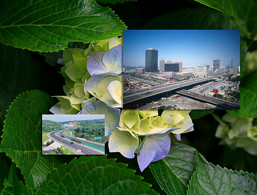 某市高新区创业服务中心监控中心大屏系统改造项目方案书