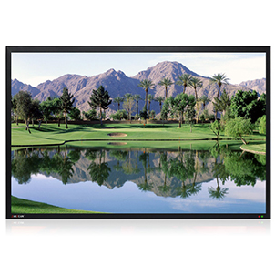 65inchLCDMonitor(4K)